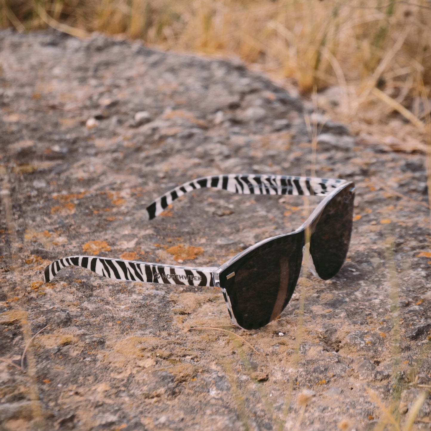 NORTHWEEK BY HAWKERS glasses - SANTI SERRACAMPS ZEBRA